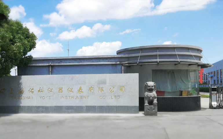 公司概览